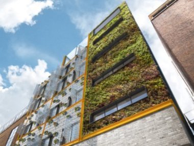 city-of-london-living-wall.jpg 2